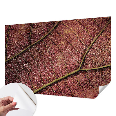 3D fototapetas su tekstūros peilio efektu