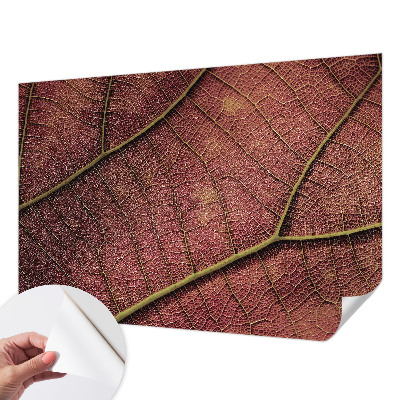 3D fototapetas Tekstūros peilis