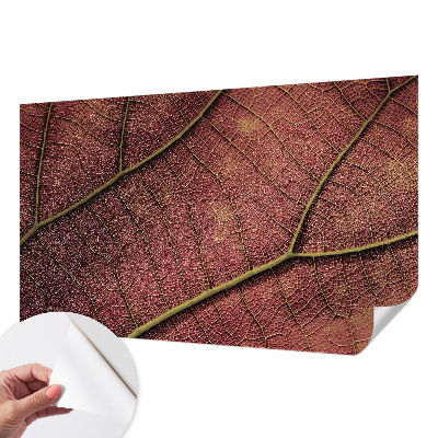 3D fototapetas Tekstūros peilis