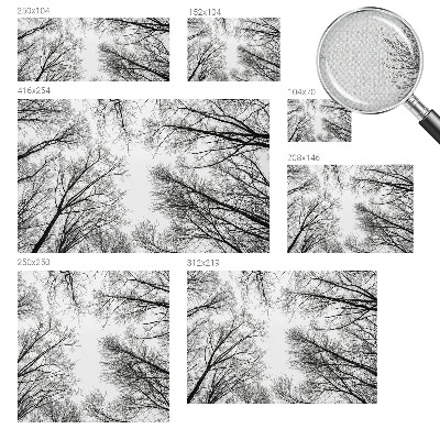 3D fototapetas sienoms Plika žalia