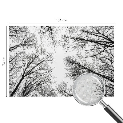 3D fototapetas sienoms Plika žalia