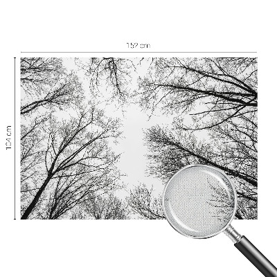 3D fototapetas sienoms Plika žalia