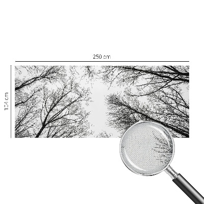 3D fototapetas sienoms Plika žalia