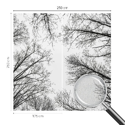 3D fototapetas sienoms Plika žalia