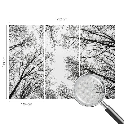 3D fototapetas sienoms Plika žalia