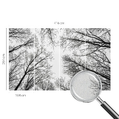 3D fototapetas sienoms Plika žalia