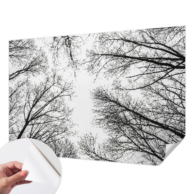 3D fototapetas sienoms Plika žalia