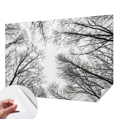 3D fototapetas sienoms Plika žalia