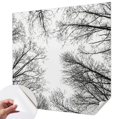 3D fototapetas sienoms Plika žalia