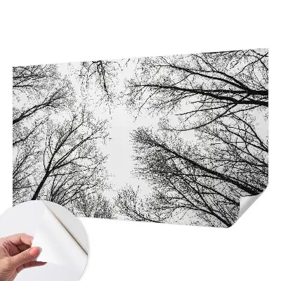 3D fototapetas sienoms su plika žalios spalvos tekstūra