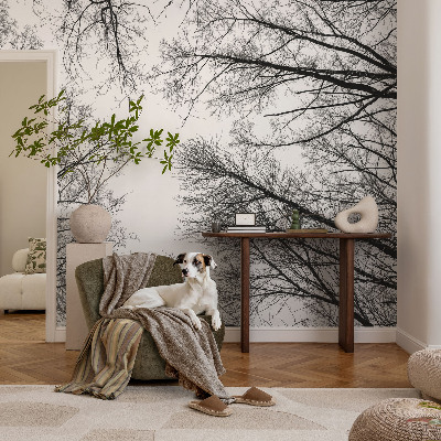 3D fototapetas sienoms su plika žalios spalvos tekstūra