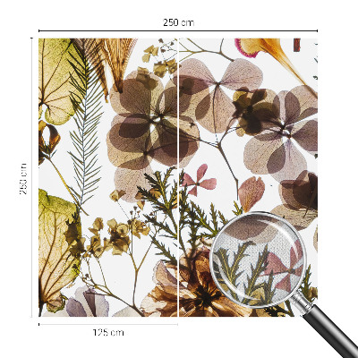 Fototapetai Natūralus surinkimas