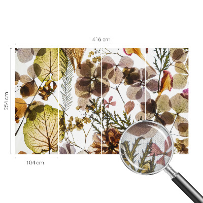 Fototapetai Natūralus surinkimas