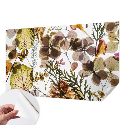 Fototapetai Natūralus surinkimas