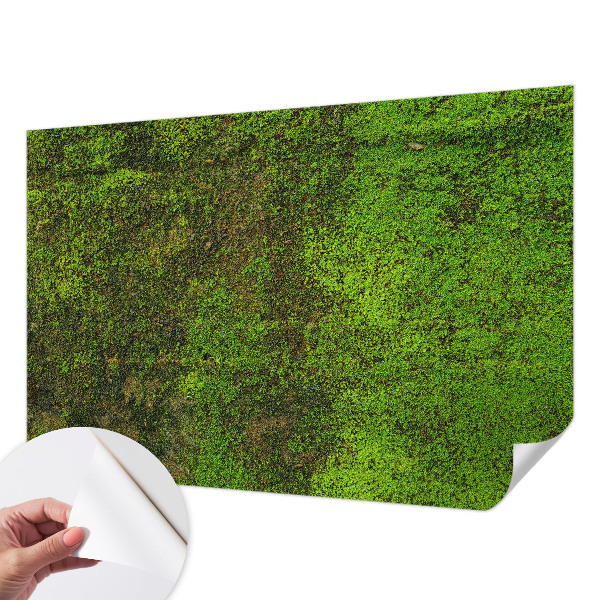 Savaime lipnus fototapetas Grønt tæppe