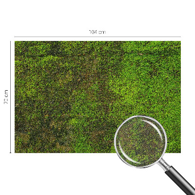 Savaime lipnus fototapetas Grønt tæppe