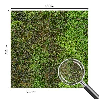Savaime lipnus fototapetas su žaliu kilimo raštu