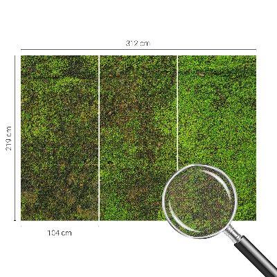 Savaime lipnus fototapetas Grønt tæppe