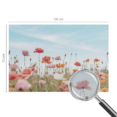 Tapetai Valmueblster