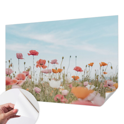 Tapetai Valmueblster