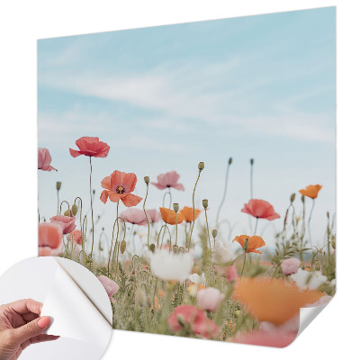 Tapetai Valmueblster