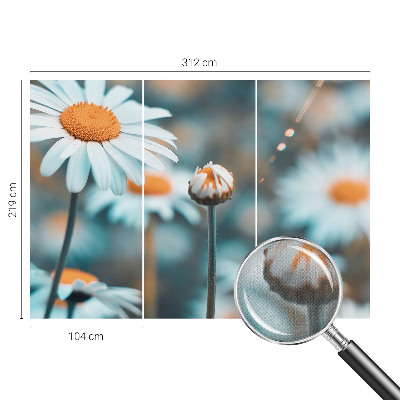 Tapetai Kamille-delikatesė