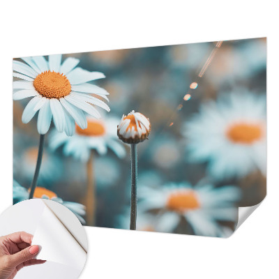 Tapetai Kamille-delikatesė