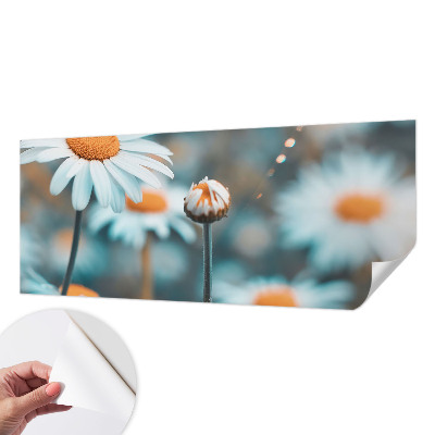 Tapetai Kamille-delikatesė