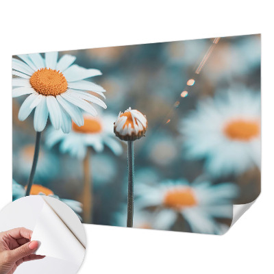 Tapetai Kamille-delikatesė