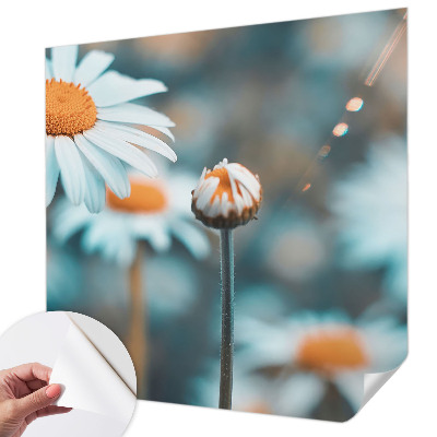 Tapetai Kamille-delikatesė