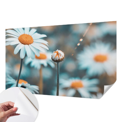 Tapetai Kamille-delikatesė