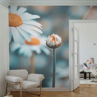 Tapetai Kamille-delikatesė