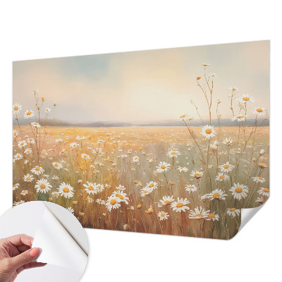 3D fototapetas sienoms su gėlių pieva (Blomsterengas) dizainu