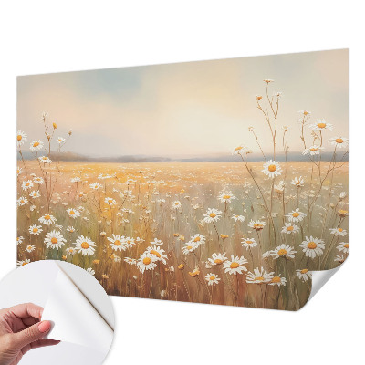 3D fototapetas sienoms su gėlių pieva (Blomsterengas) dizainu