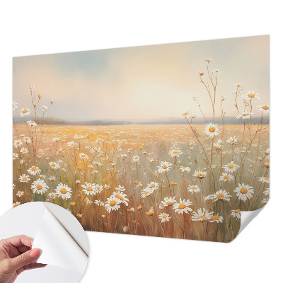 3D fototapetas sienoms su gėlių pieva (Blomsterengas) dizainu