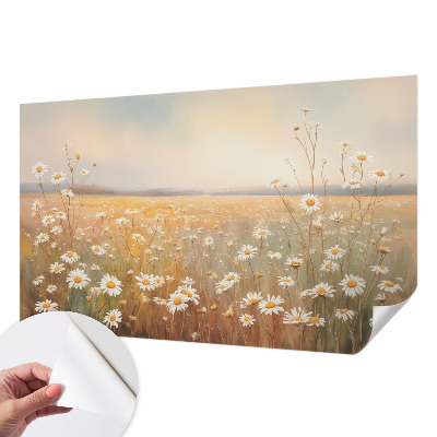 3D fototapetas sienoms su gėlių pieva (Blomsterengas) dizainu