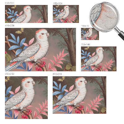 Fototapetas vaikams Gamtos tropikai