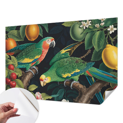 3D fototapetas sienoms su tropikų motyvu