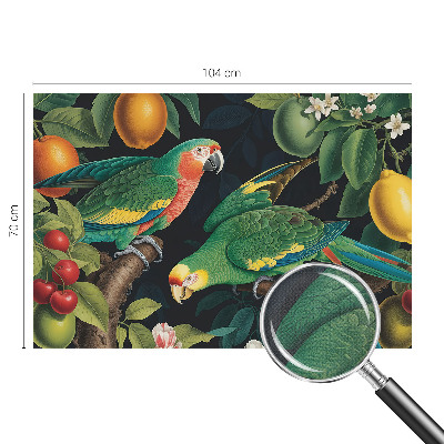 3D fototapetas sienoms su tropikų motyvu