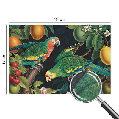 3D fototapetas sienoms su tropikų motyvu