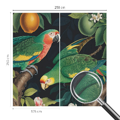 3D fototapetas sienoms su tropikų motyvu