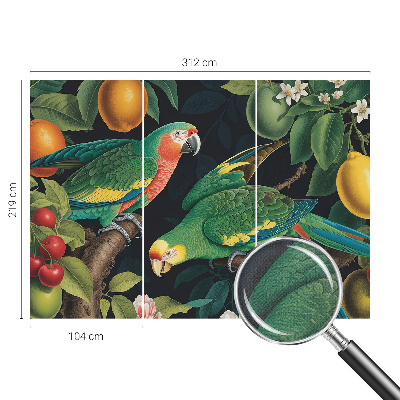 3D fototapetas sienoms Tropikų nuotykiai