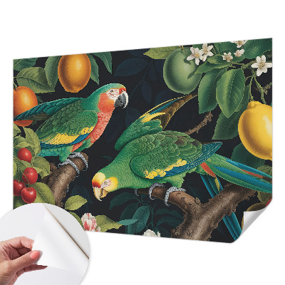3D fototapetas sienoms su tropikų motyvu