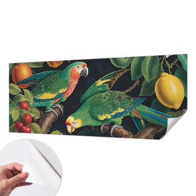 3D fototapetas sienoms su tropikų motyvu