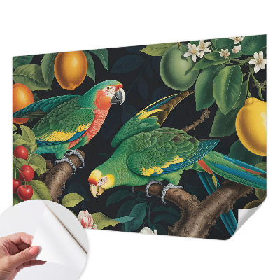 3D fototapetas sienoms Tropikų nuotykiai