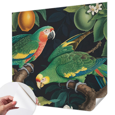 3D fototapetas sienoms Tropikų nuotykiai