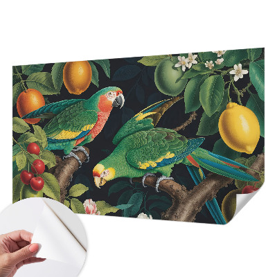 3D fototapetas sienoms su tropikų motyvu