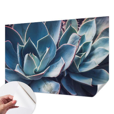 Fototapetas vaiko kambariui Žaliasis alavijas