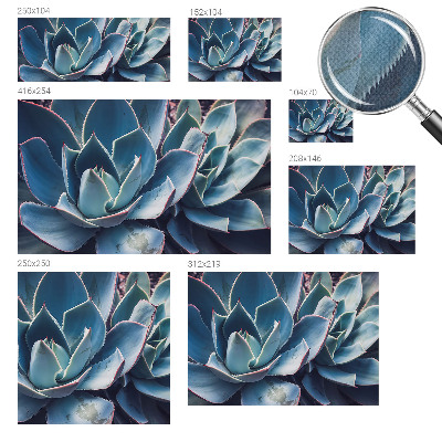 Fototapetas vaiko kambariui Žaliasis alavijas