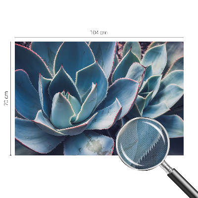 Fototapetas vaiko kambariui Žaliasis alavijas